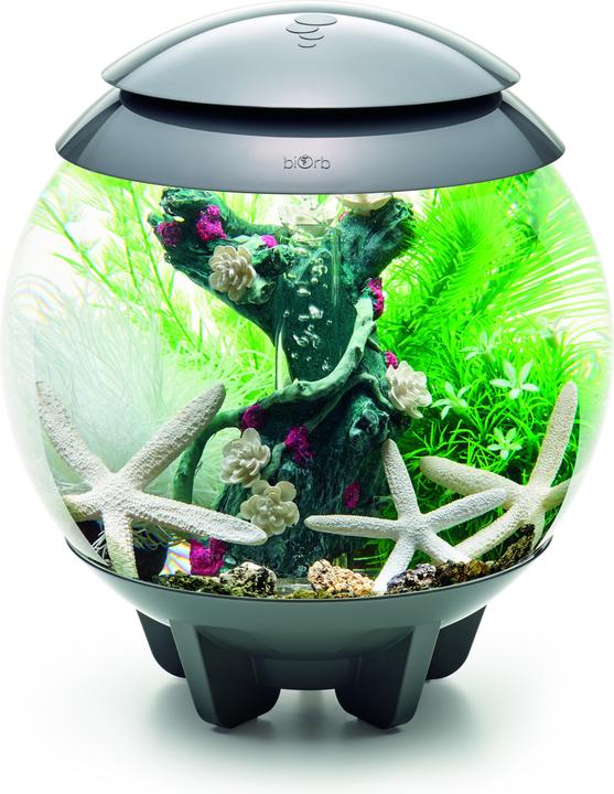 Actual product image Oase biOrb Aquarium 15 Decor Set (Embellishment, other items)