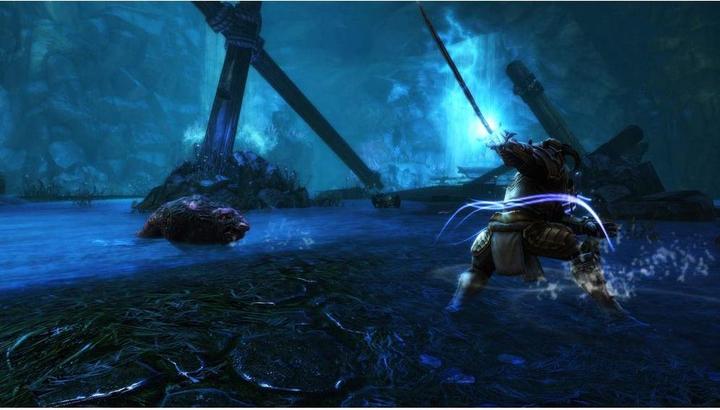 Image du produit THQ Kingdoms of Amalur - Reckoning Edition définitive (Xbox One X, Xbox Series X, IT, FR)
