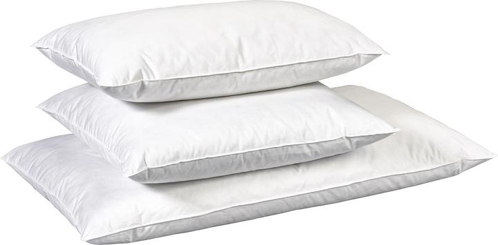 Produktbild Billerbeck Edition Madlen (65 x 100 cm)