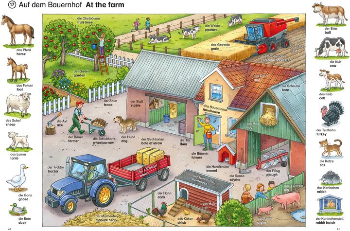 Actual product image Mein erstes Englisch Bildwörterbuch mit Audio-Download (German, Joachim ruffle, gondolino picture words and exercise books, 2022)