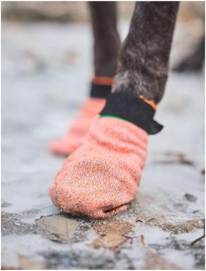 Immagine prodotto Non-Stop Dogwear Calze protettive leggere Protector per cani M (M, Scarpe per cani)