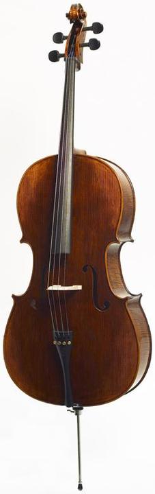 Actual product image Stentor Arcadia (Cello, 4/4)