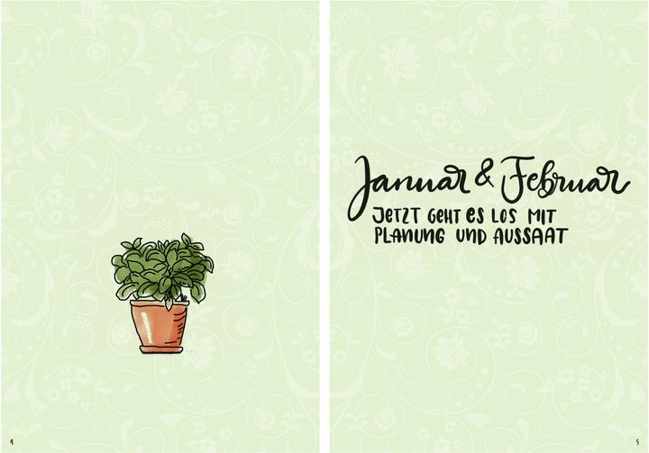 Produktbild Mein Kräuter-Jahr - Das informative Bullet Journal - Monat für Monat (Deutsch, Diana Meier-Soriat, 2025)