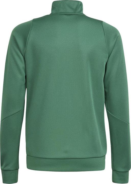 Actual product image adidas TIRO24 TRJKT Y (164)