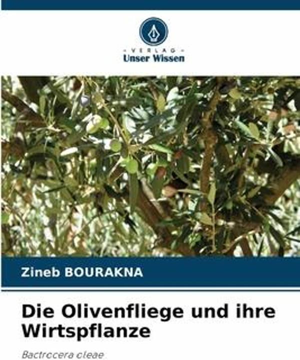 Actual product image The olive fly and its host plant (Zineb Bourakna, 2023)