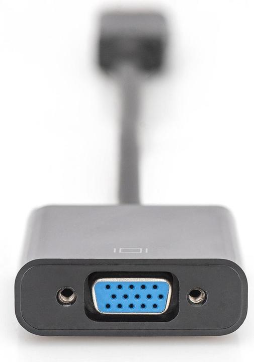 Actual product image Digitus DisplayPort closed (VGA, 15 cm)