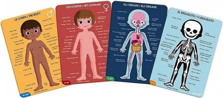 Image du produit Janod Le corps humain (100 pièces)