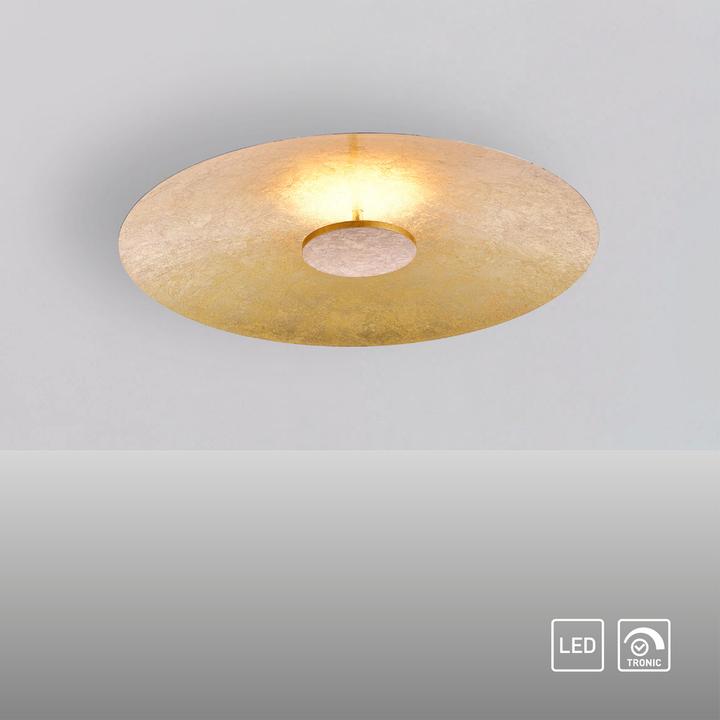 Actual product image Paul Neuhaus Plate (2875 lm)