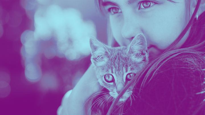 Immagine prodotto Adobe Photoshop Elements 2021 (1 Utente, Senza limiti)