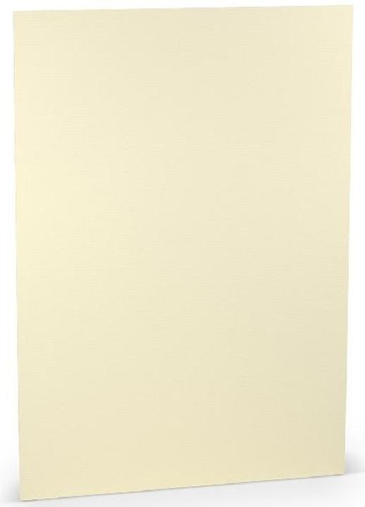 Produktbild Paperado Karton A3 220 g/qm gerippt Chamois (1 x)