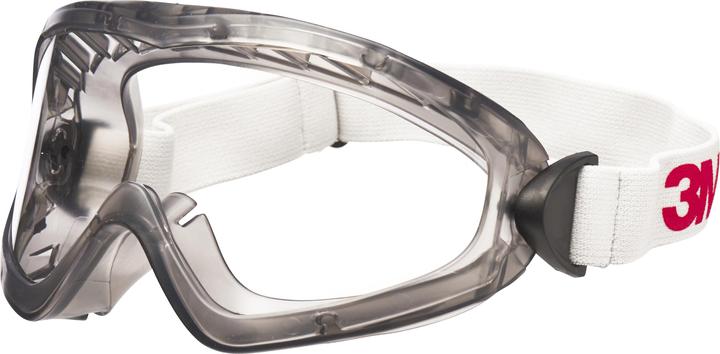 3M Full view goggles 2890