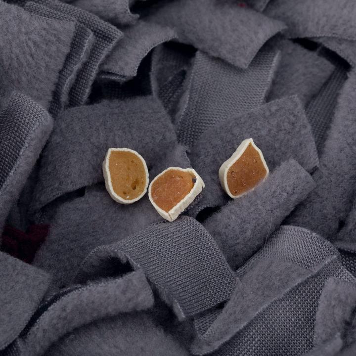Immagine prodotto Trixie Tappeto da fiuto per le attività (Giocattolo di attività per cani)