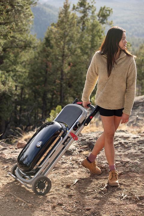 Immagine prodotto Weber Viaggiatore (3.80 kW)