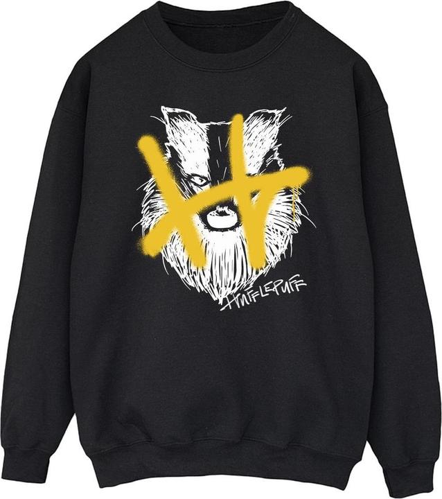 Produktbild Hufflepuff Pop Spray Sweatshirt (L)