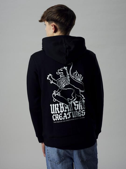 Produktbild Lmtd Loose Fit Hoodie (170)