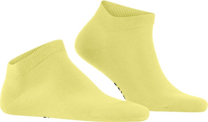 Produktbild Falke ClimaWool Herren (43 - 44)