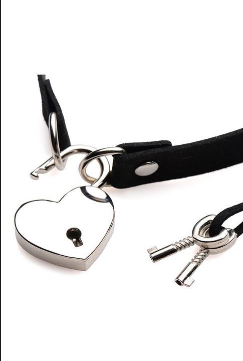 Produktbild Master Series Lock-It Heart Lock and Key Choker