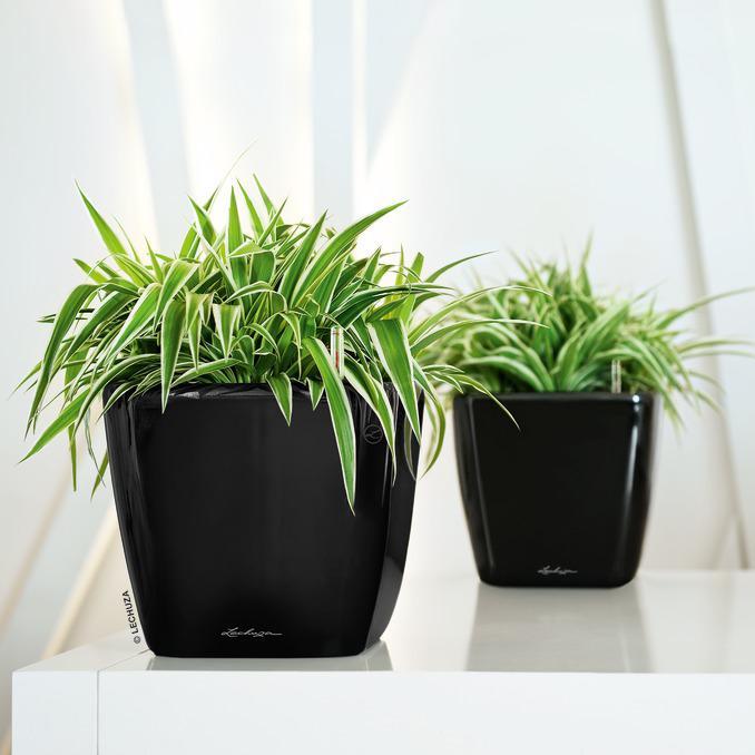 Produktbild Lechuza Quadro Ls (22.50 cm)
