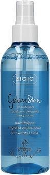 Actual product image Ziaja Gdan Skin (Body lotion, 200 ml)