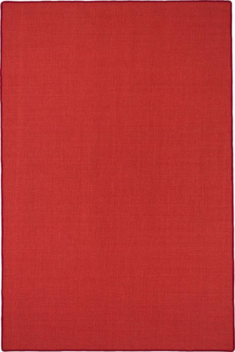 Image du produit Snapstyle Tapis en sisal naturel Classique - 9 coloris en 17 tailles (80 x 400 cm)