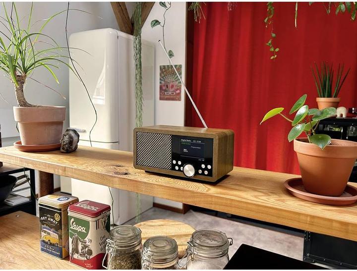 Produktbild Dynavox Weltempfänger DAB+, FM, DAB DAB+, Bluetooth®, SD, USB Braun (DAB, FM, DAB+, Bluetooth)