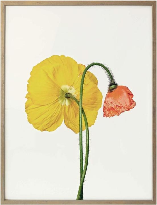 Actual product image Trenddeko The red and yellow flower (30 x 40 cm)
