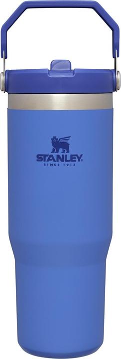 Stanley 1913 Il flusso di ghiaccio (0.89 l)