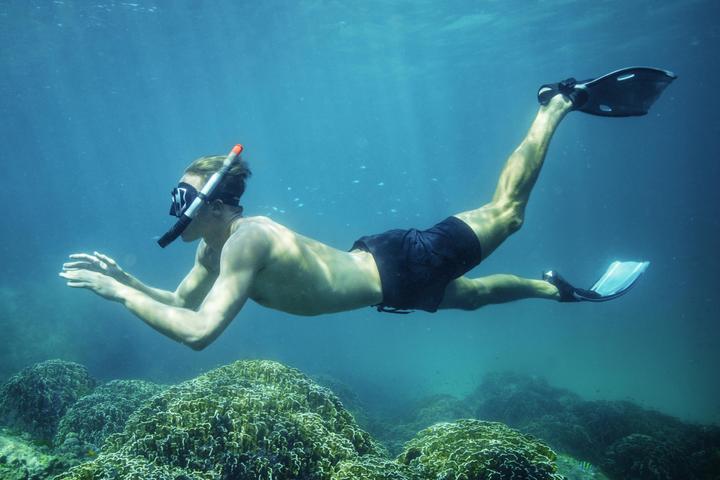 Produktbild Bestway Hydro-Pro BlackSea Snorkel & Fin Set, Adult, Half face mask, Tempered glass, Assorted colour