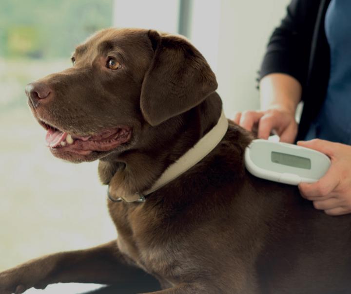Immagine prodotto SureFlap Lettore di microchip (Cane)