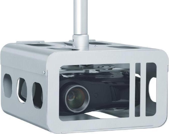 Actual product image Vogels PPA 310, theft-proof housing (Ceiling)