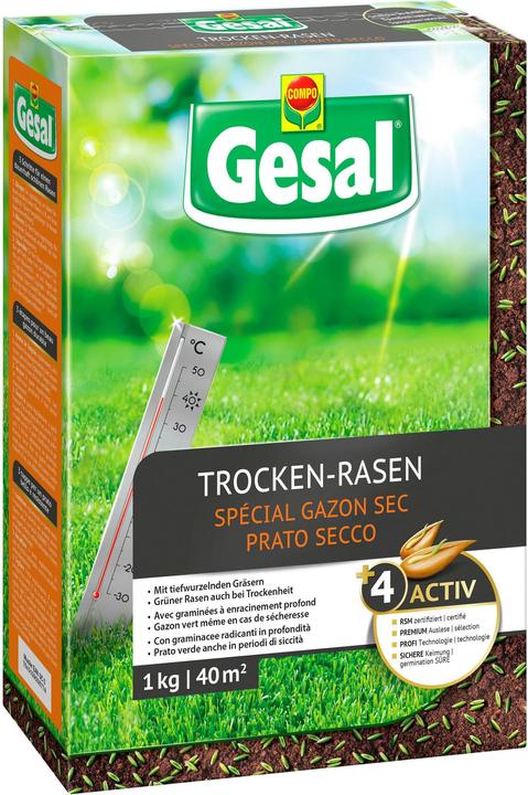 Gesal Trocken-Rasen (Rasensamen)