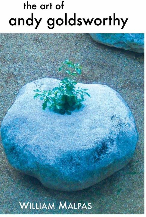 Produktbild The Art of Andy Goldsworthy (Englisch, William Malpas, 2013)