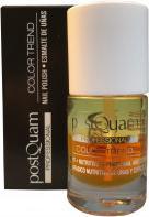 Postquam color trend protein oil treatment 10 ml (10 ml)