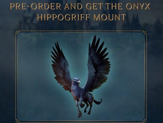 Immagine prodotto WB Hogwarts Legacy (Xbox Series X, DE, FR)