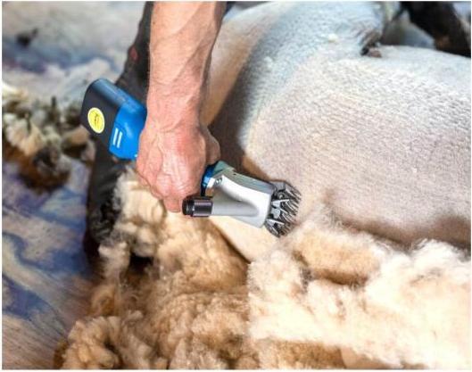 Actual product image Kerbl Aesculap Econom NOVA cordless clipper for sheep GT684 (Dog)