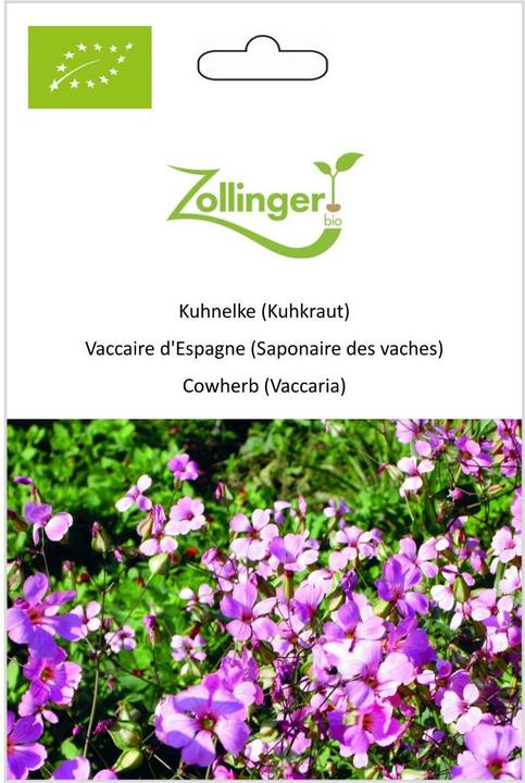 Produktbild Zollinger Bio Kuhnelke (Kuhkraut) (Blumenzwiebel)