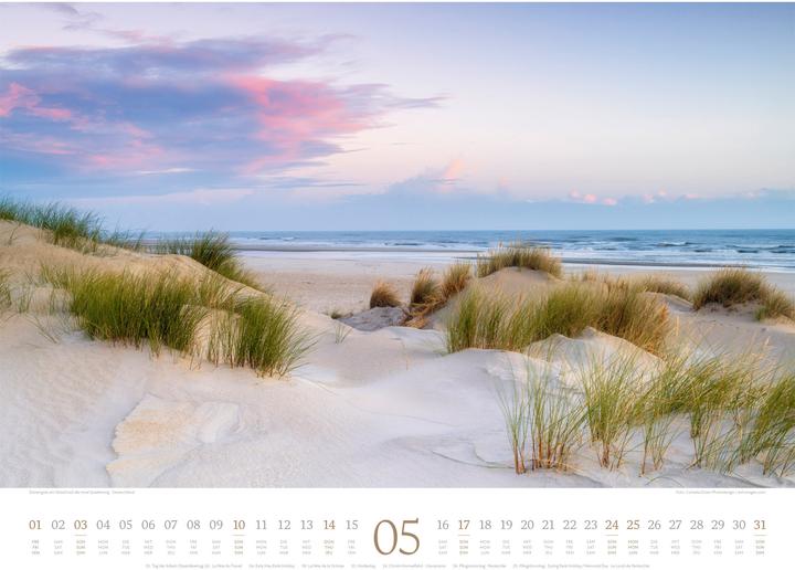 Immagine prodotto Morgenlicht Kalender 2026 (54 x 42 cm, Inglese, Francese, Tedesco)