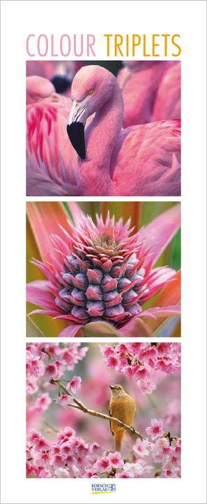 Produktbild Colour Triplets 2025 (28.5 x 69 cm, Deutsch)