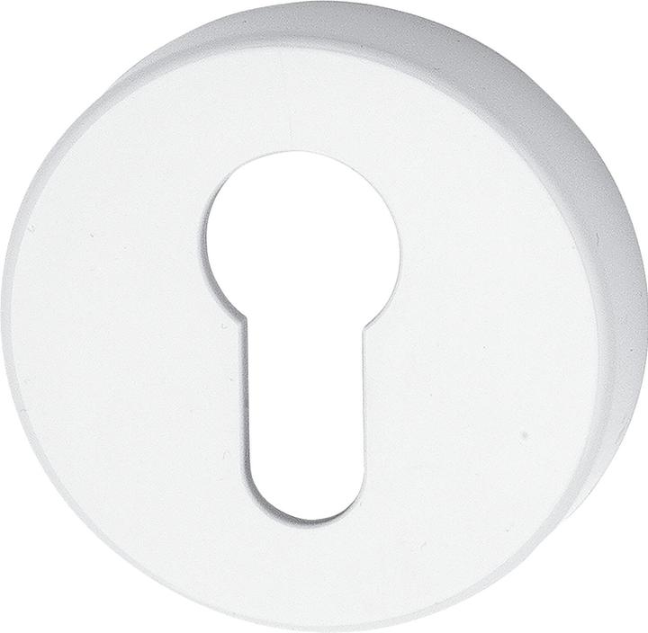 Hewi Flat cylinder rosette ø 55 x 10.5 mm with screws Polyamide pure white (Door set)