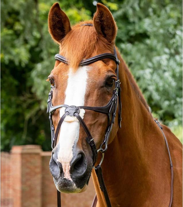 Produktbild Premier Equine trense reithalfter mit gekreuztem reithalfter glorioso