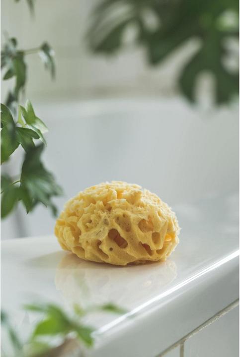 Immagine prodotto Rotho Babydesign Spugna mediterranea