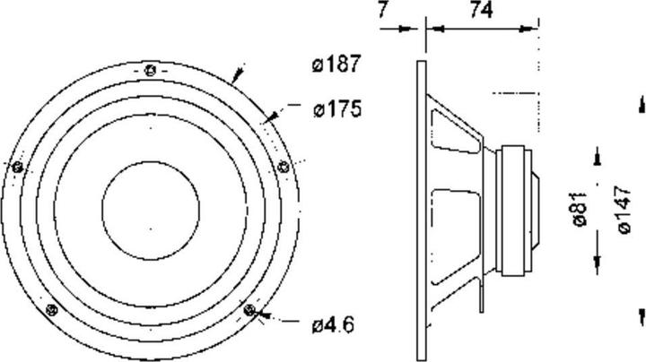 Actual product image Visaton W 170 S woofer