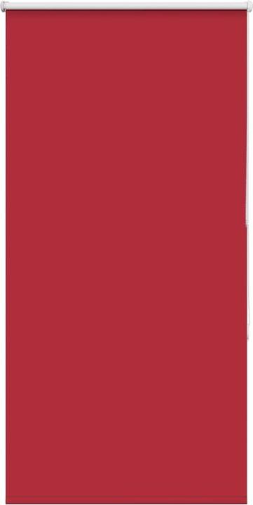 Rot