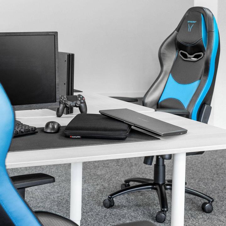 Actual product image Caturix Tech Sleeve 17-17.3″ (17.30", Universal)