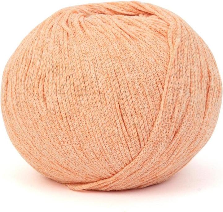 Image du produit DMC Laine Eco Vita 100 g, abricot (250 m)