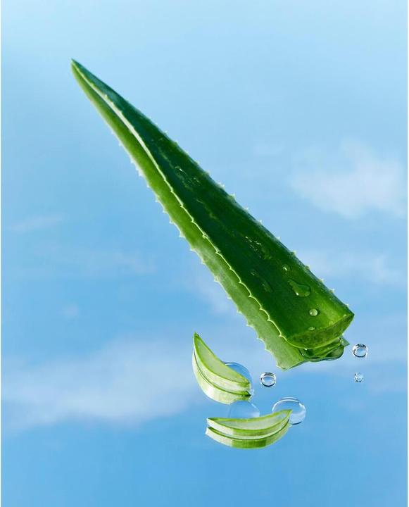 Image du produit NIVEA Aloe Pflege Body Lotion Fl 400ml (Lotion pour le corps, 400 ml)