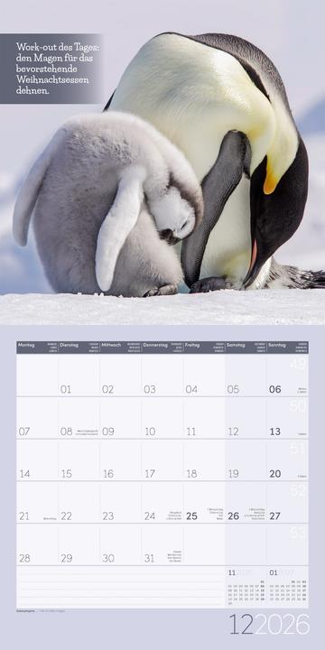 Produktbild Keep Smiling! Kalender 2026 - 30x30 (30 x 30 cm, Deutsch, Englisch, Französisch)