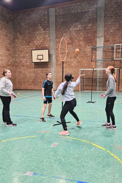 Productafbeelding Pitjau - Indoor Ball Game