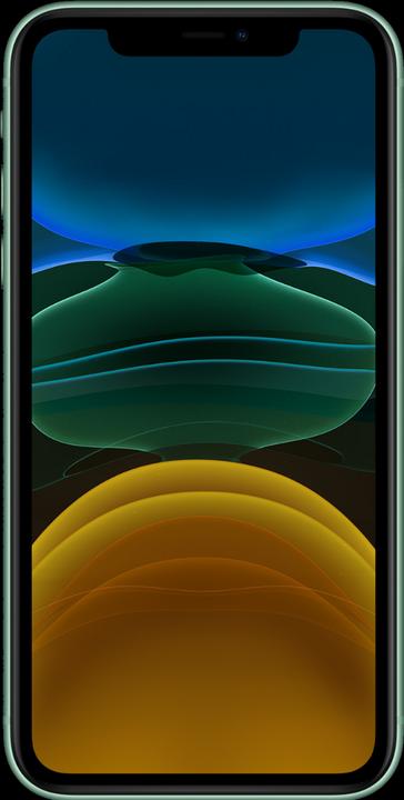 Actual product image Forza Refurbished iPhone 11 (64 GB, Green, 6.10", 12 Mpx, Dual SIM, C / Good)