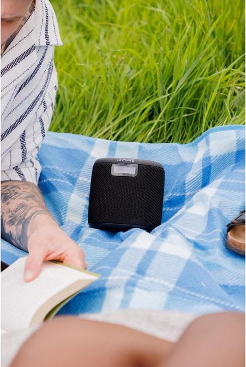 Actual product image Pure Woodland Mini (DAB+, VHF, Bluetooth)